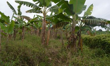 FINCA PRODUCTIVA EN FILANDIA