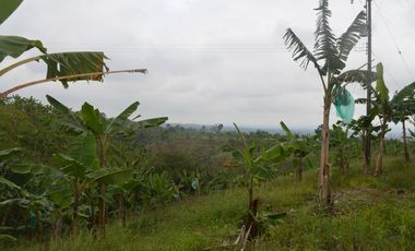 FINCA PRODUCTIVA EN FILANDIA