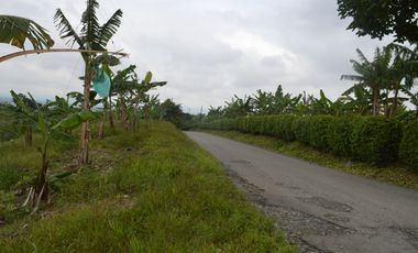 FINCA PRODUCTIVA EN FILANDIA