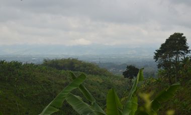FINCA PRODUCTIVA EN FILANDIA