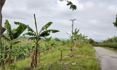 FINCA PRODUCTIVA EN FILANDIA