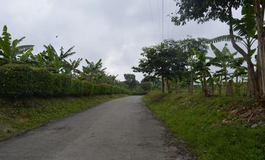 FINCA PRODUCTIVA EN FILANDIA