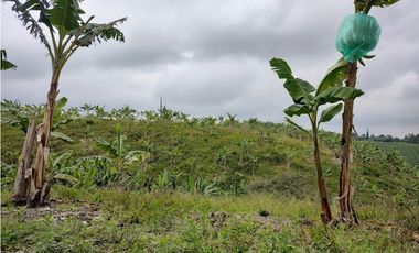 FINCA PRODUCTIVA EN FILANDIA