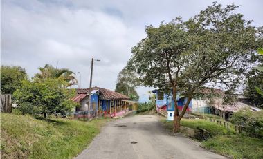FINCA PRODUCTIVA EN FILANDIA