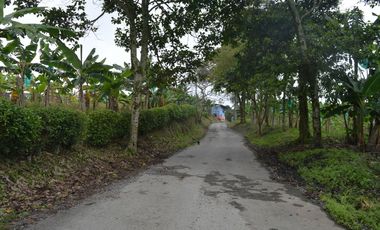 FINCA PRODUCTIVA EN FILANDIA
