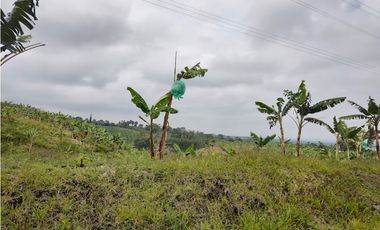 FINCA PRODUCTIVA EN FILANDIA