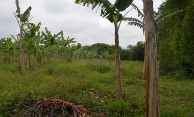FINCA PRODUCTIVA EN FILANDIA