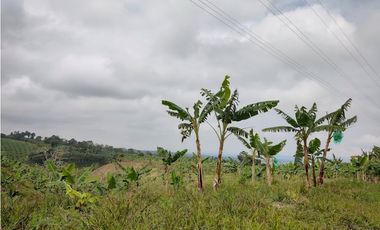 FINCA PRODUCTIVA EN FILANDIA