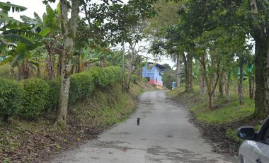 FINCA PRODUCTIVA EN FILANDIA
