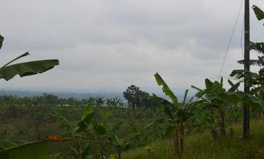 FINCA PRODUCTIVA EN FILANDIA