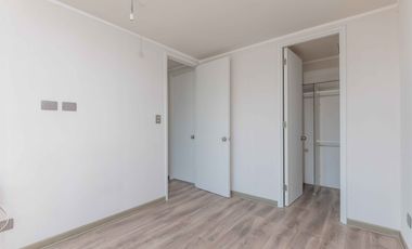 Porto Seguro 4210 [1261-3]