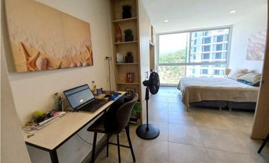 APARTASUITE  ACOGEDOR AMOBLADO RENTA MES EN SECTOR PLAYA SALGUERO