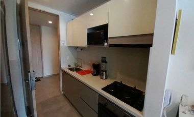 APARTASUITE  ACOGEDOR AMOBLADO RENTA MES EN SECTOR PLAYA SALGUERO