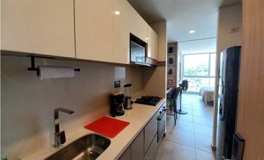 APARTASUITE  ACOGEDOR AMOBLADO RENTA MES EN SECTOR PLAYA SALGUERO