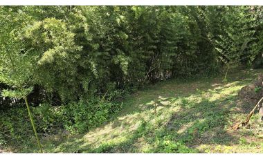 VENDO CASA LOTE EN COPACABANA ANTIOQUIA