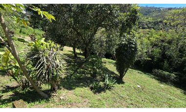 VENDO CASA LOTE EN COPACABANA ANTIOQUIA