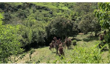 VENDO CASA LOTE EN COPACABANA ANTIOQUIA