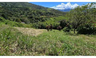 VENDO CASA LOTE EN COPACABANA ANTIOQUIA