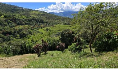 VENDO CASA LOTE EN COPACABANA ANTIOQUIA