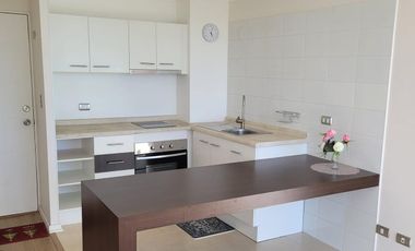 VENTA DEPARTAMENTO UN DORMITORIO PADRE LAS CASAS