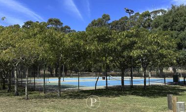 Lote en Venta con Vista al Bosque y Arroyo en Barrancas de San Benito