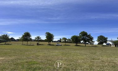 Lote en Venta con Vista al Bosque y Arroyo en Barrancas de San Benito