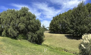 Lote en Venta con Vista al Bosque y Arroyo en Barrancas de San Benito