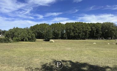 Lote en Venta con Vista al Bosque y Arroyo en Barrancas de San Benito