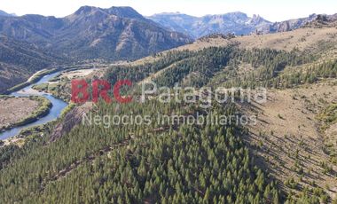 Campo - Ruta 237- Bariloche