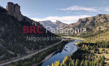 Campo - Ruta 237- Bariloche