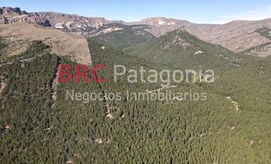 Campo - Ruta 237- Bariloche