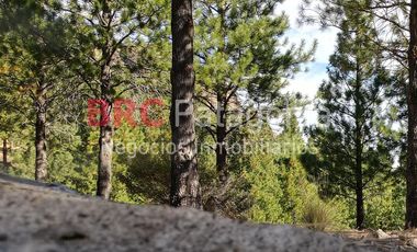 Campo - Ruta 237- Bariloche