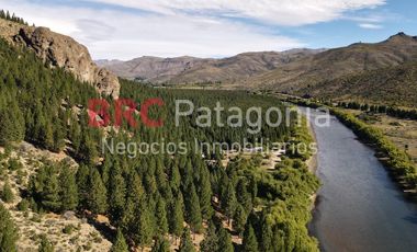 Campo - Ruta 237- Bariloche