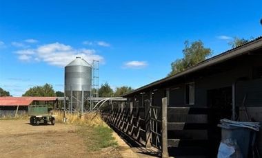 Agrícola en Venta en Camino Crucero Río Bueno a Vivanco