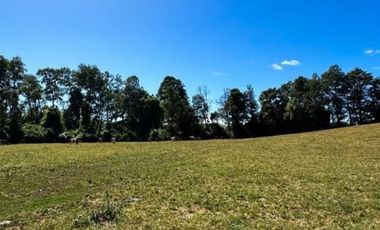 Agrícola en Venta en Camino Crucero Río Bueno a Vivanco