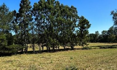Agrícola en Venta en Camino Crucero Río Bueno a Vivanco