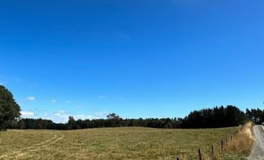 Agrícola en Venta en Camino Crucero Río Bueno a Vivanco