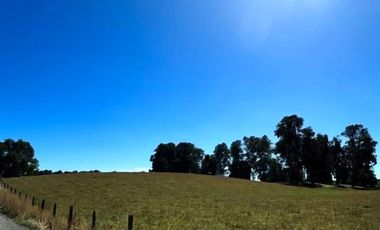Agrícola en Venta en Camino Crucero Río Bueno a Vivanco