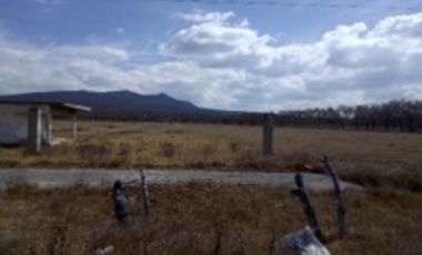 Terreno de 8.5 ha en Venta sobre Carretera Puebla–Xalapa | Oportunidad de Inversión