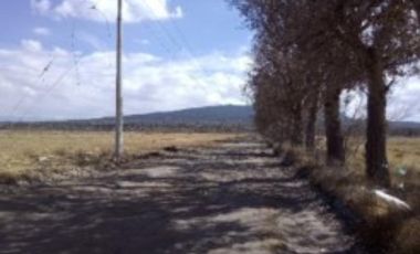 Terreno de 8.5 ha en Venta sobre Carretera Puebla–Xalapa | Oportunidad de Inversión