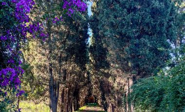 Importante propiedad - A metros de Circunvalación y Autopista Santa Fe