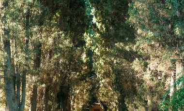 Importante propiedad - A metros de Circunvalación y Autopista Santa Fe