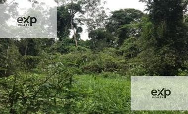 Venta Terreno Rustico En Tambopata
