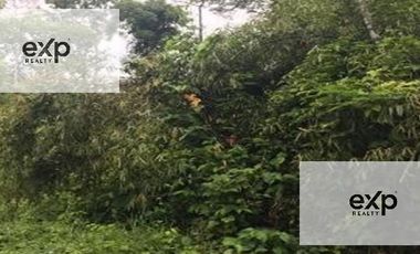 Venta Terreno Rustico En Tambopata