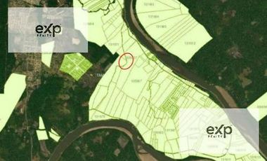 Venta Terreno Rustico En Tambopata