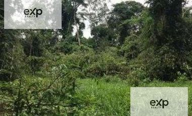 Venta Terreno Rustico En Tambopata