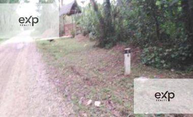 Venta Terreno Rustico En Tambopata