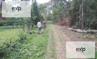 Venta Terreno Rustico En Tambopata