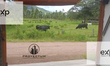 Venta de Casa en Oxapampa