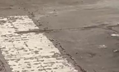 Venta de terreno en Cañete